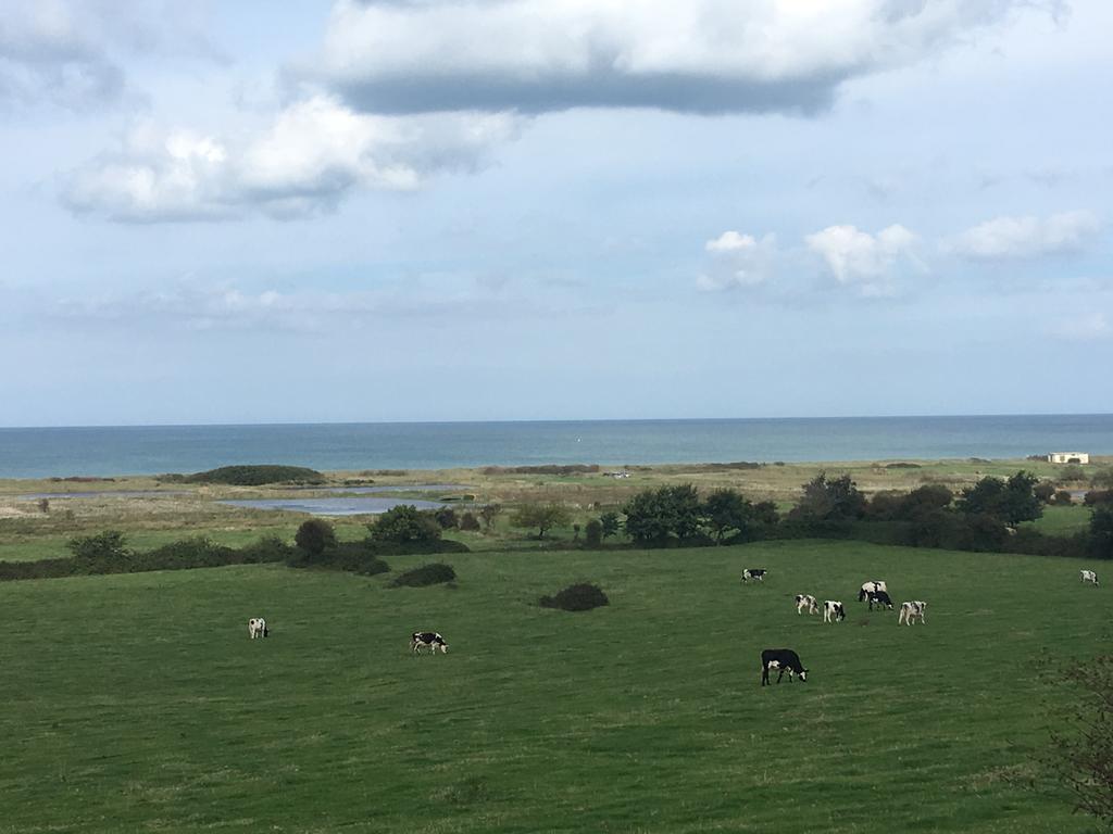 Le Mas Normand Ver-sur-Mer Exteriör bild